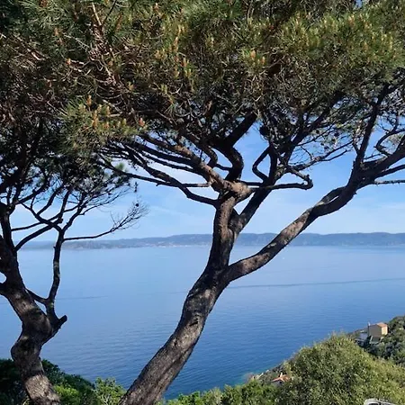 La Roche Aux Mouettes * Île du Levant